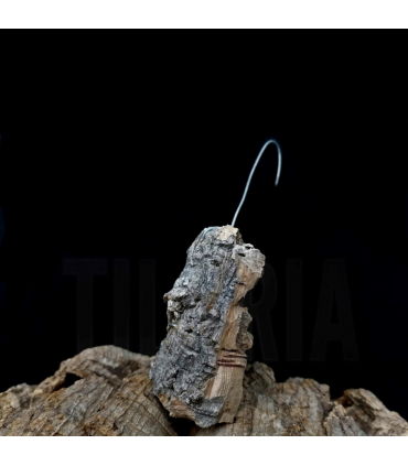 Virgin cork bark
