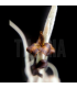 Tillandsia crocata x caliginosa