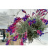 Tillandsia aeranthos (grey form) clump XL