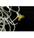 Tillandsia usneoides 'curly' (flor amarilla)