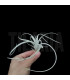 Tillandsia exserta